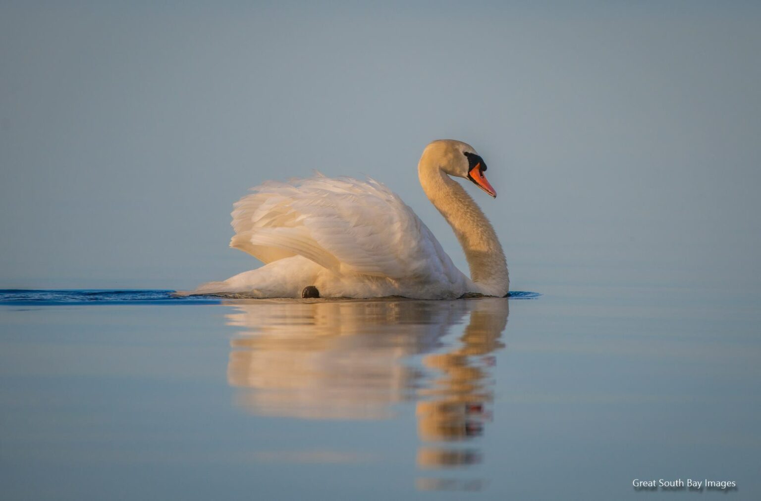 Notice of Tax Sale Village of Bellport March 13, 2020 1000 am at