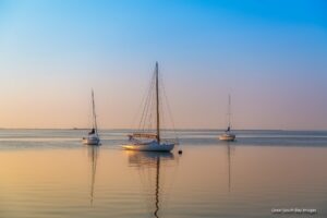 sailboats on the water